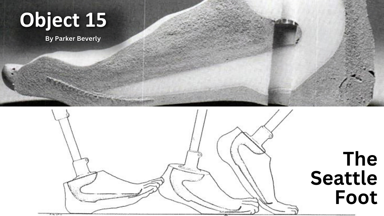 Read Object 15: The Seattle Foot